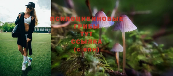 прущий лед Сатка