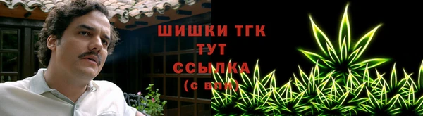 стаф Абаза