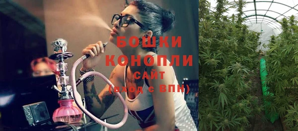 гидра Сафоново